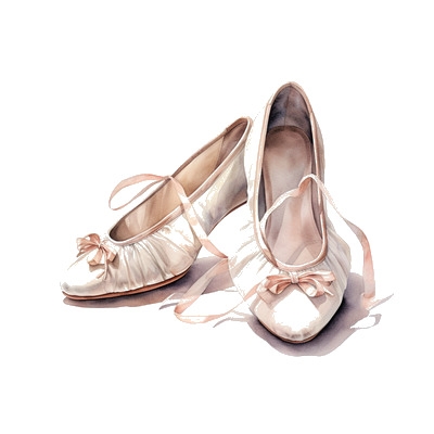 Ballet pointe shoe
